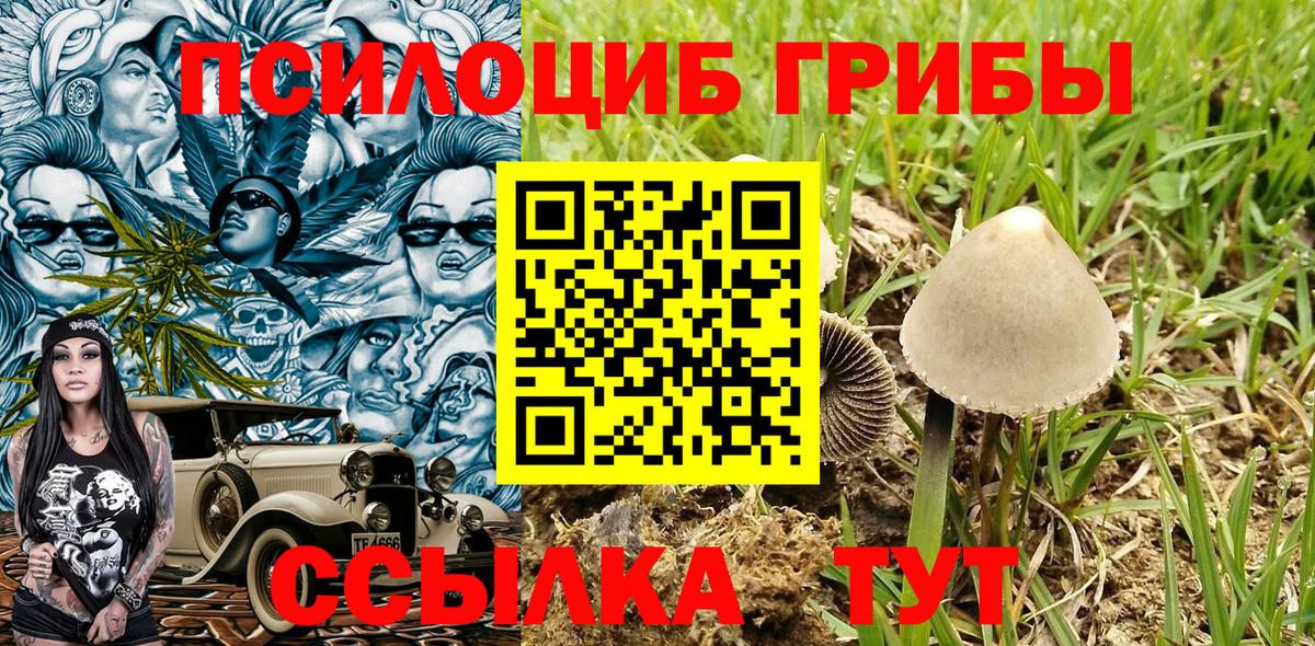 Северобайкальск  Псилоцибиновые грибы ЛСД  Вход с VPN  Галлюциногенные грибы ЛСД 
